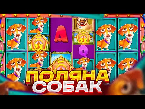 Видео: ЗАЛЕТЕЛ В ГОСТИ К ПЁСИКАМ И ПОЛУЧИЛ ЗАНОСИК?! / Бонус В Слоте The Dog House Megaways / заносы недели