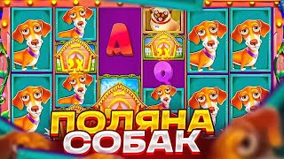 ЗАЛЕТЕЛ В ГОСТИ К ПЁСИКАМ И ПОЛУЧИЛ ЗАНОСИК?! / Бонус В Слоте The Dog House Megaways / заносы недели