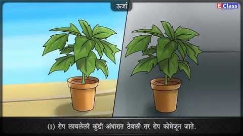 Standard 9, Science chp 2 कार्य आणि ऊर्जा, Marathi Medium, Maharashtra Board Balbharati syllabus.