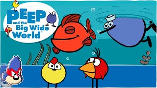 Peep And The Big Wide World Games Pbs Kids Pbs Kids Games Which Fish Game