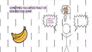 Litterbug The Chimp Effect