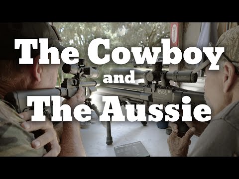 Airgun Duel: BRK Pathfinder vs American Air Arms Evol