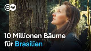 Familie Schaffer pflanzt 10 Millionen Bäume um Brasiliens Regenwald zu schützen