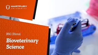 Study BSc Bioveterinary Science | Hartpury University