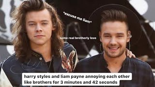 Harry Styles and Liam Payne annoying each other like brothers for 3 minutes and 42 seconds
