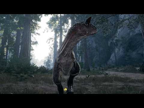 The new update brings chaos as I try to find the new meta