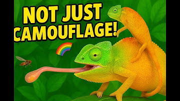 Chameleons Don’t Change Color to Hide! 🦎🌈 | Crazy Animal Facts