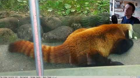 Scripting 3D Mission Editor for OFP (Part 20)