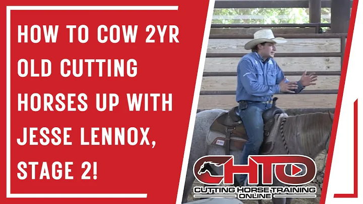 How To Cow 2yr Old Cutting Horses Up With Jesse Le...