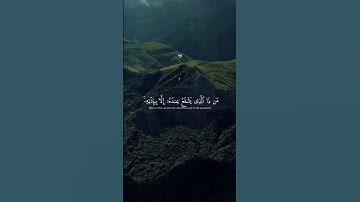 آية الكرسي بصوت القارئ عبدالرحمن مسعد 🤎. #quran #قران_كريم #عبدالرحمن_مسعد #تلاوة_خاشعة