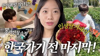 1년만에 한국 갈 준비! 조카 선물 쇼핑🛍️,미국에서 사가면 좋은 육아템+선물🎁 인생 딸기파이, 아쿠아리움!