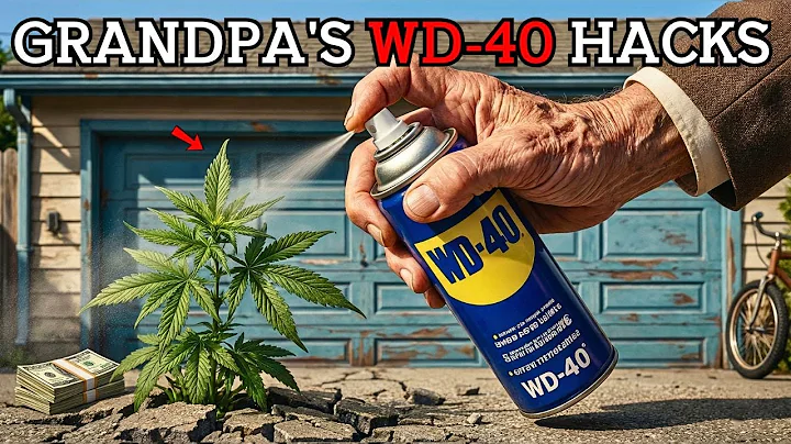 25 Genius Grandpa’s WD-40 Hacks That Will Blow Your Mind and Actually Works