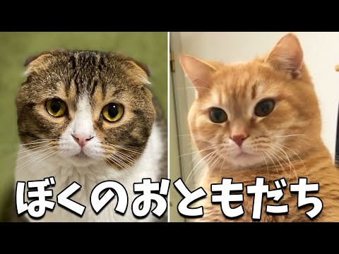 ねこぽん⭐︎プロフ必読 ずーぽんෆ 12/16 🦅 (@zoo_pon3) / X