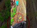 এগুলা কিসের ডিম #shorts