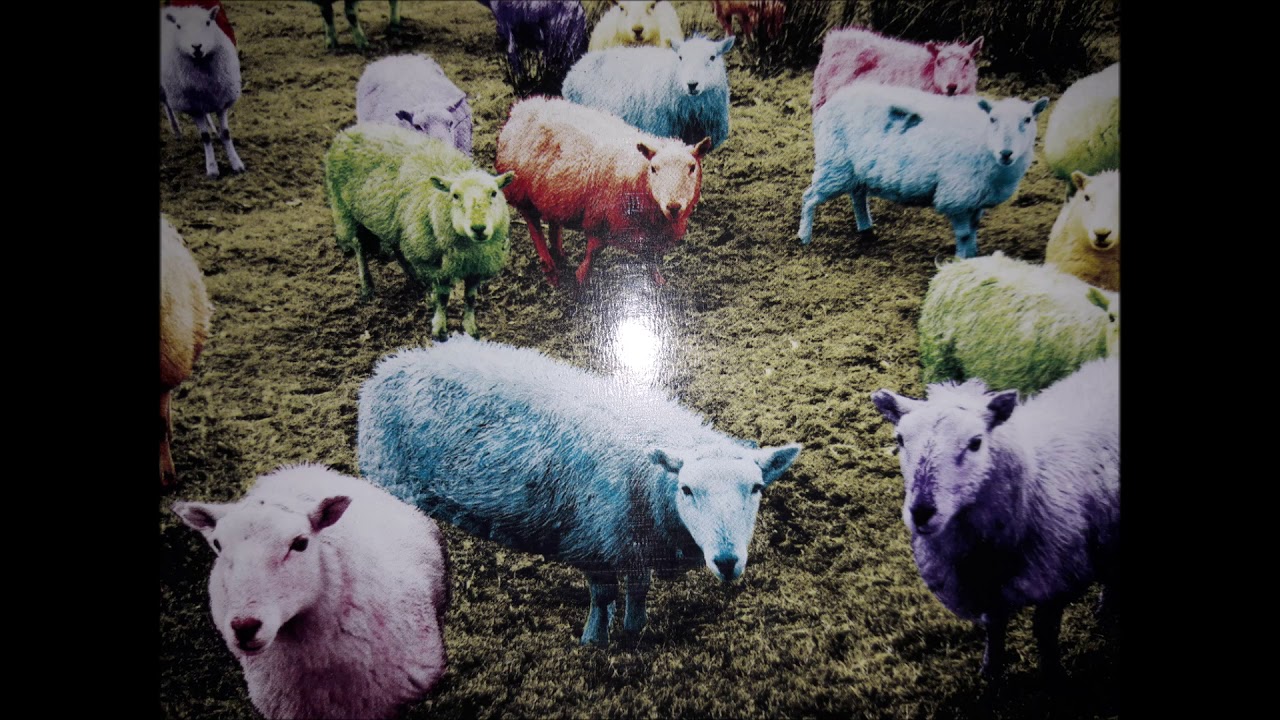 a day with nino moucko graffiti "remix