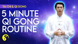 Tai Chi Chuan 5 Minute Beginners Lesson - Qi Gong Meditation Routine Made Easy screenshot 5