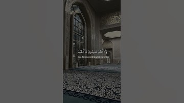 سوره الكافرون بصوت الشيخ ياسر الدوسرى