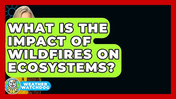 What Is The Impact Of Wildfires On Ecosystems? - Weather Watchdog