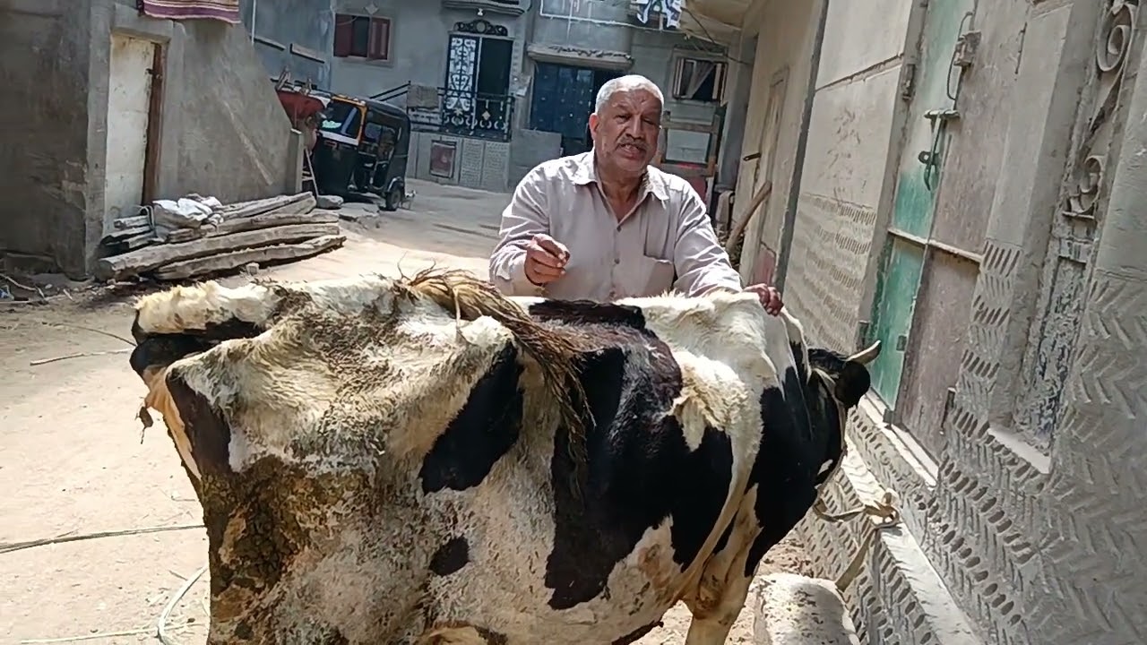 @ الديدان وسنينها السودا ازاي تعرف انه حيواناتك محتاجه علاج للديدان وماهو افضل العلاجات للديدان