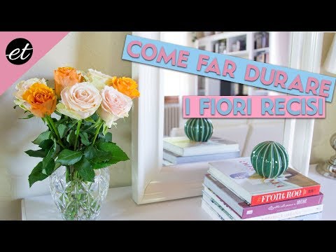 Video: Come Conservare I Fiori Recisi