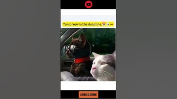 Trending meme  #htmlmemes #webdesigning #memes #developermemes #css #funny
