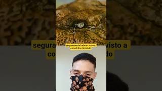 Los cocodrilos pueden llorar? 🐊😢 #shorts #parati #foryou #viral #short