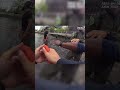 Cops Rescued a Woman From the East River, Then Spotted Her CAT Floating Away 😳 #Bodycam #rescue