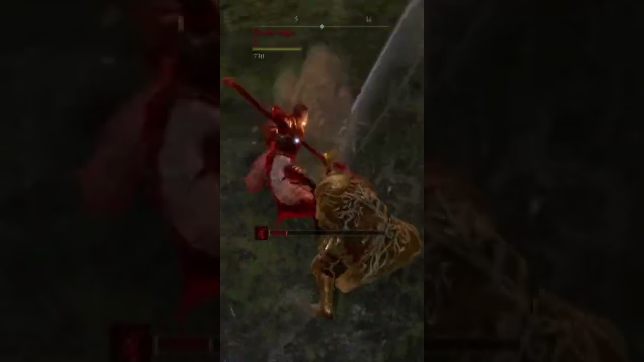 Failed vigor check -- Elden Ring 