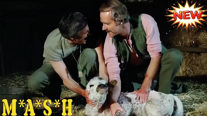 M*A*S*H Full Episode | Season 12 Ep 11 - Follies of the Living Conc | Best Comedy & Drama Movie 2025