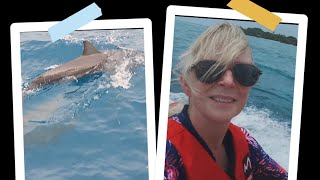 #028 Day 3 - Dolphins & Jet Skis in Paradise! π¬π Our Epic Maldives Ocean Adventure!