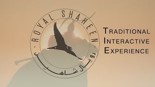 Traditional Interactive Falconry Experience