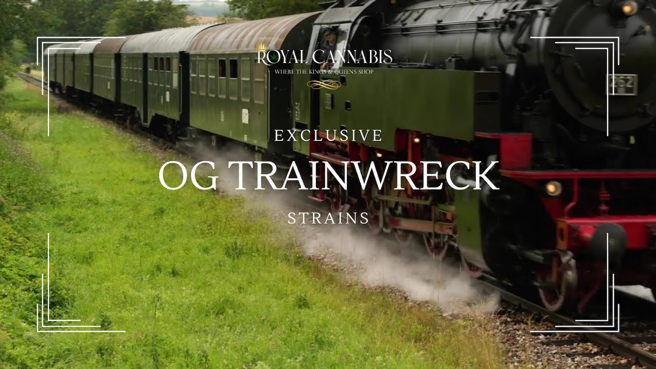 OG Trainwreck Strain