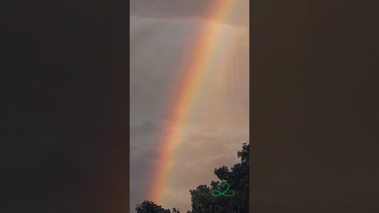 I Am Love, I Am Peace 💚 Morning Affirmation | Day 4 Overflow Era