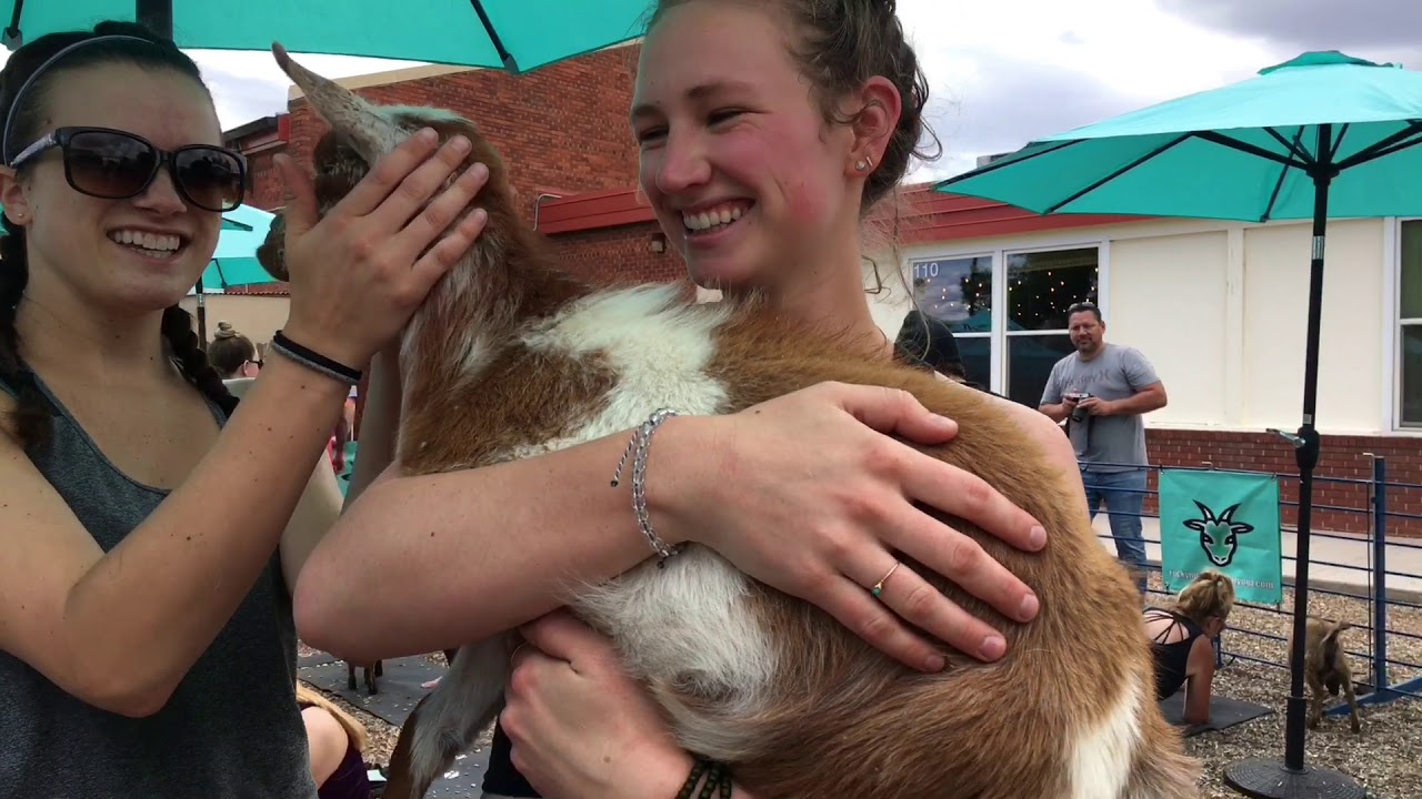 Rocky Mountain Goat Yoga The Goat Patch! YouTube