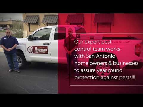 Accurate Pest Control