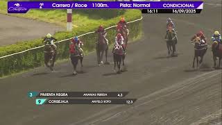 Vidéo de la course PMU NATTIER