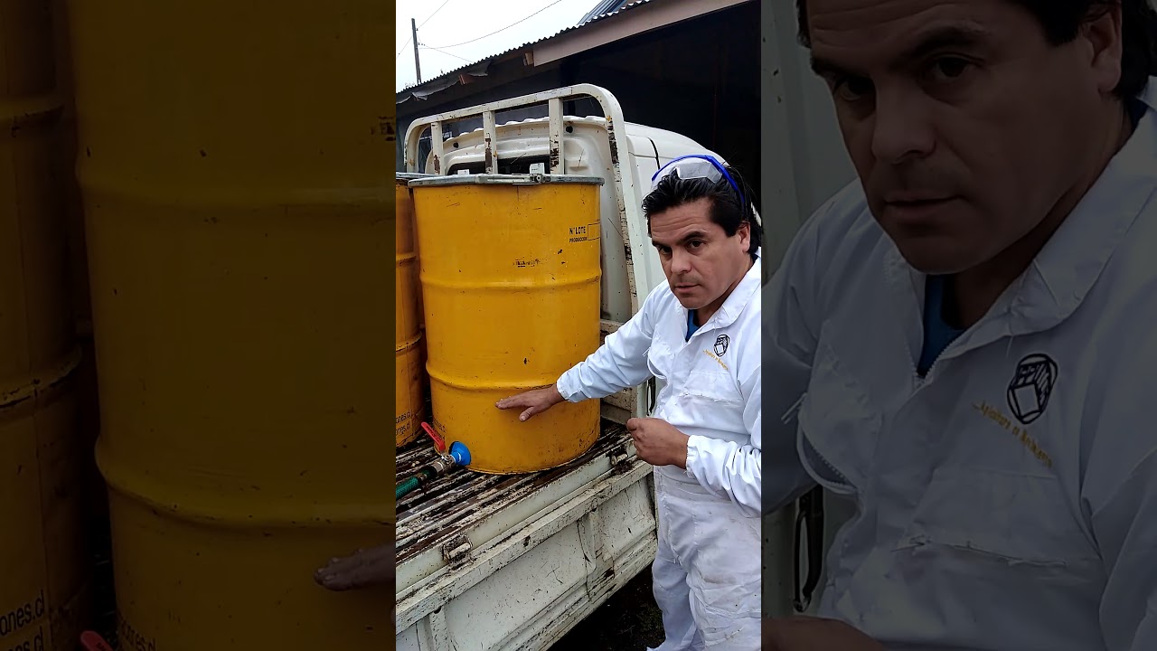 Preparación jarabe abejas