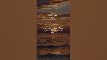 اكتب شيئ تؤجر عليه 🍀 #ramadan #اكسبلور #رمضانمبارك #راحة_نفسية #تلاوة_خاشعة