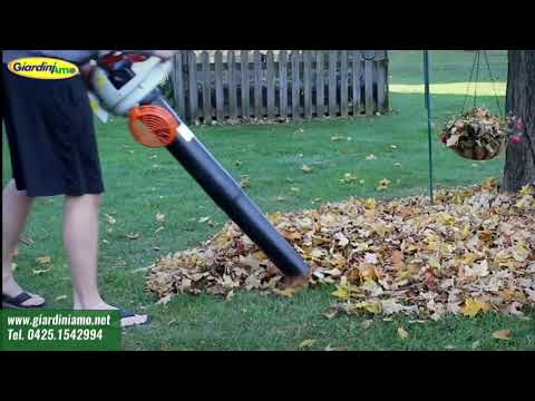 Video: Aspirapolvere da giardino 