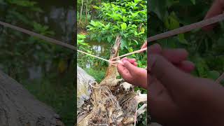 Brillian rope knots #shorts  #knots #diy