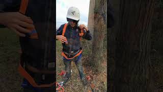 Deadly Dangerous Tree Climbing Kit #treework #treeworker #treeclimbing