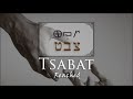 The Mystery in Tsabat: The Rarest of Hebrew Words