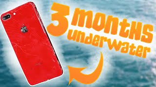 What Does Three Months of Salt Water do to an iPhone?