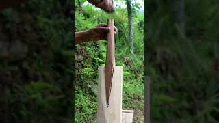 How to make cricket bat from wood , Easy to make #shorts