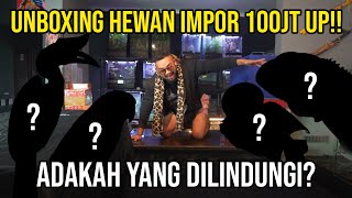 Unboxing Imported Animals 100jt Up Are There Any Protected audreykingofthejungle indoexotic