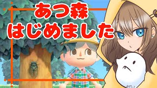 みぢんこちゃんねるの配信のサムネイル画像