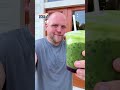 Wake Up NOLA: Trying an iced matcha at Lower Coast Coffee
