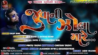 SAG NI SOTI SISM NI SOTI || JUVANI ZOLA MARE || FULL SONG || SOOR SARGAM STUDIO || DILIP BHIL ||