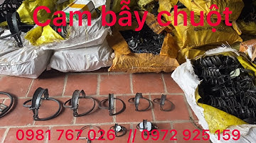 Cạm bẫy chuột  , cạm diệt chuột giá rẻ 8 k 1 chiếc lh