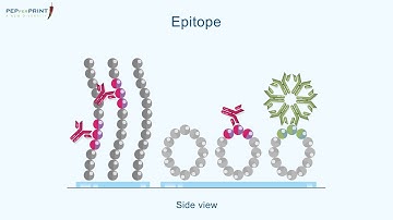 PEPperCHIP®  Peptide Microarray Applications